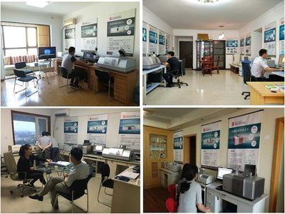 2017年百特發(fā)展成就(四) 市場開發(fā)創(chuàng)佳績 技術(shù)咨詢及技術(shù)服務(wù)