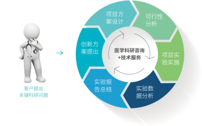 科研咨詢與技術服務 構建創(chuàng)新生態(tài)的關鍵雙翼